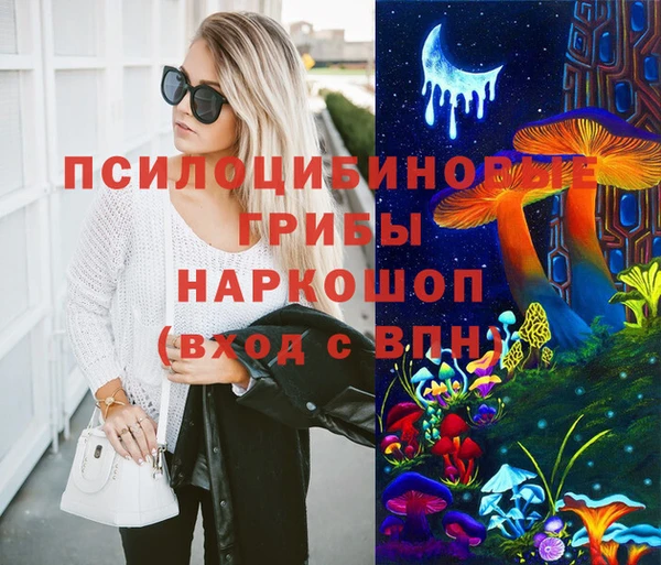 меф Заводоуковск