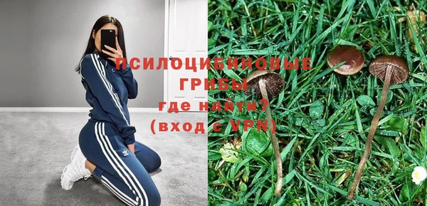 меф Заводоуковск