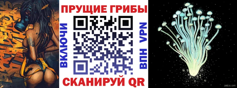 Псилоцибиновые грибы Magic Shrooms  Купить  Обь 
