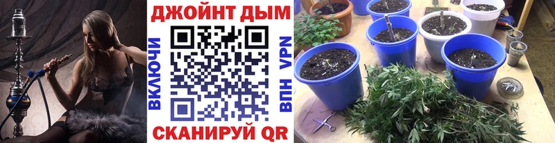 Купить закладки  Обь  Бошки марихуана тримм 